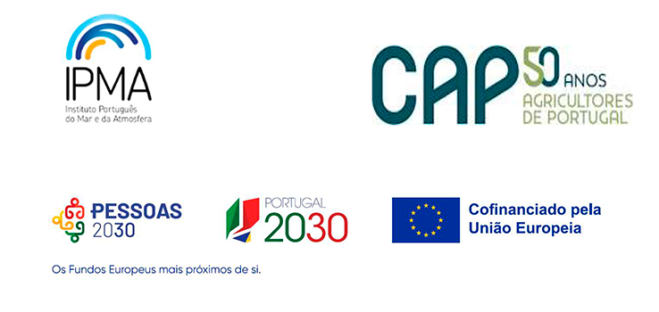 Programa workshop