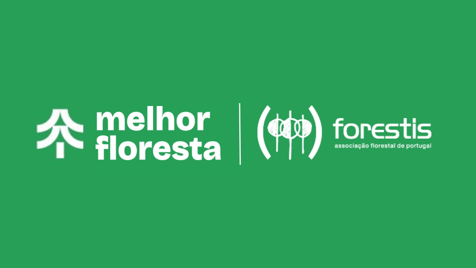 Projeto melhor floresta
