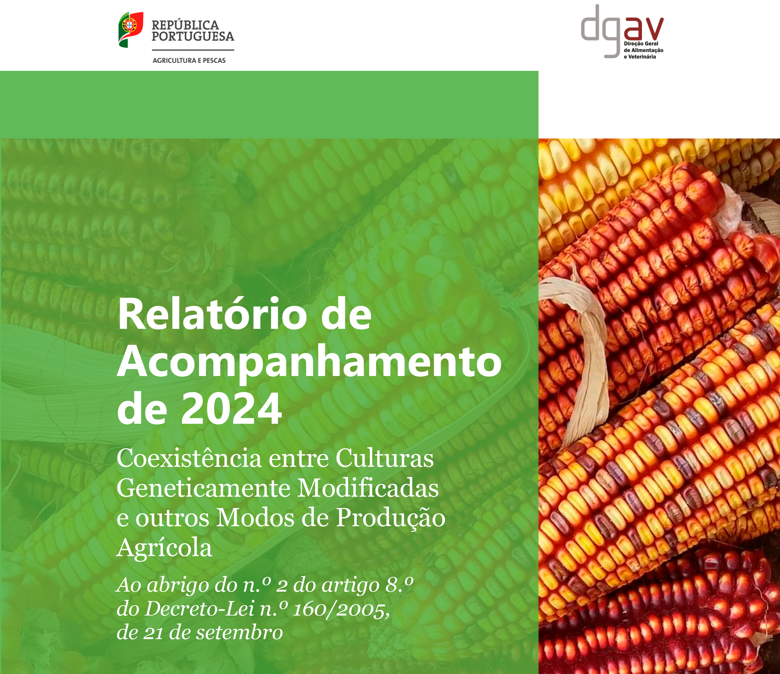 RELATÓRIO DE ACOMPANHAMENTO 2024 1