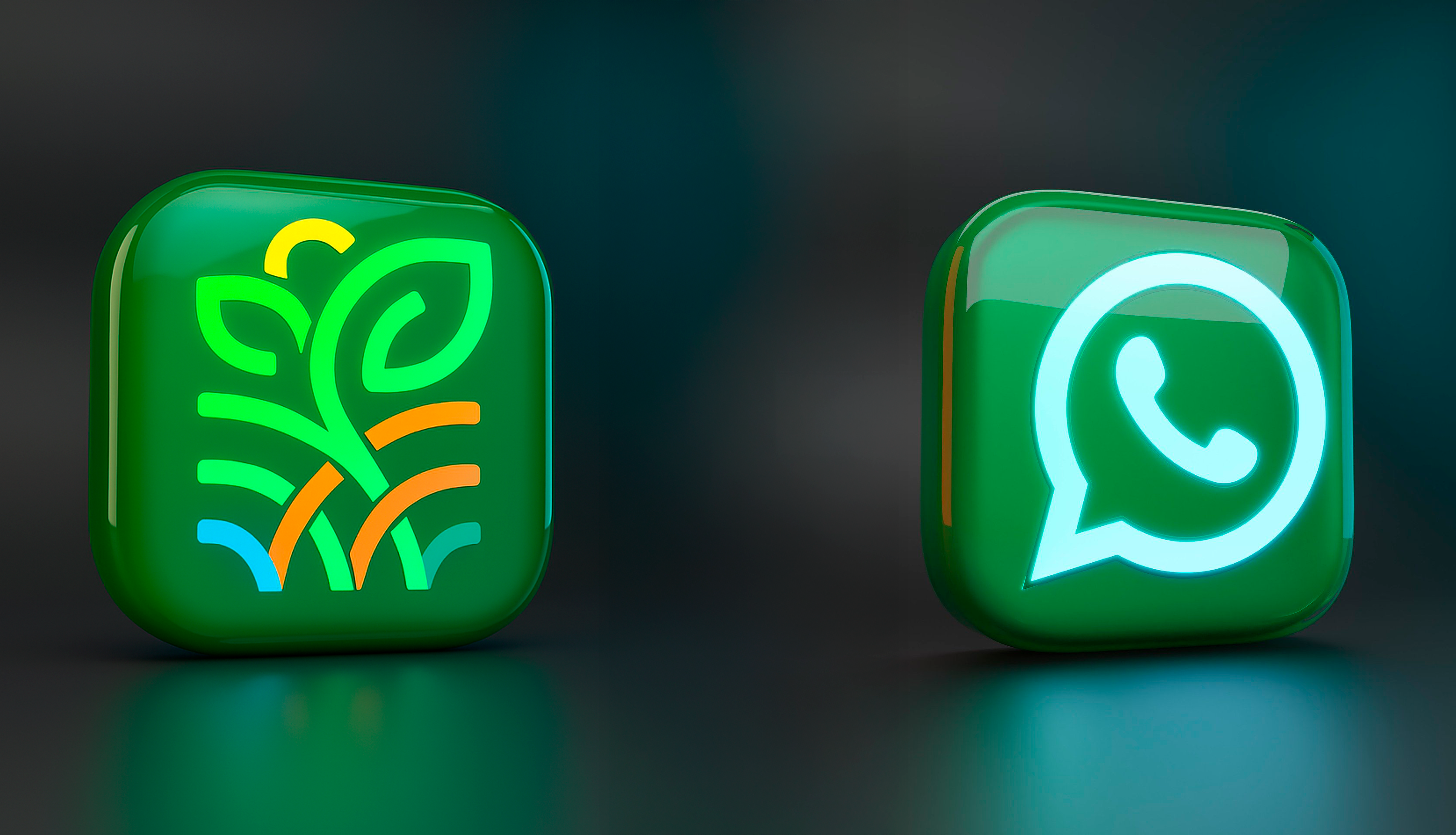 RRN WHATSAPP