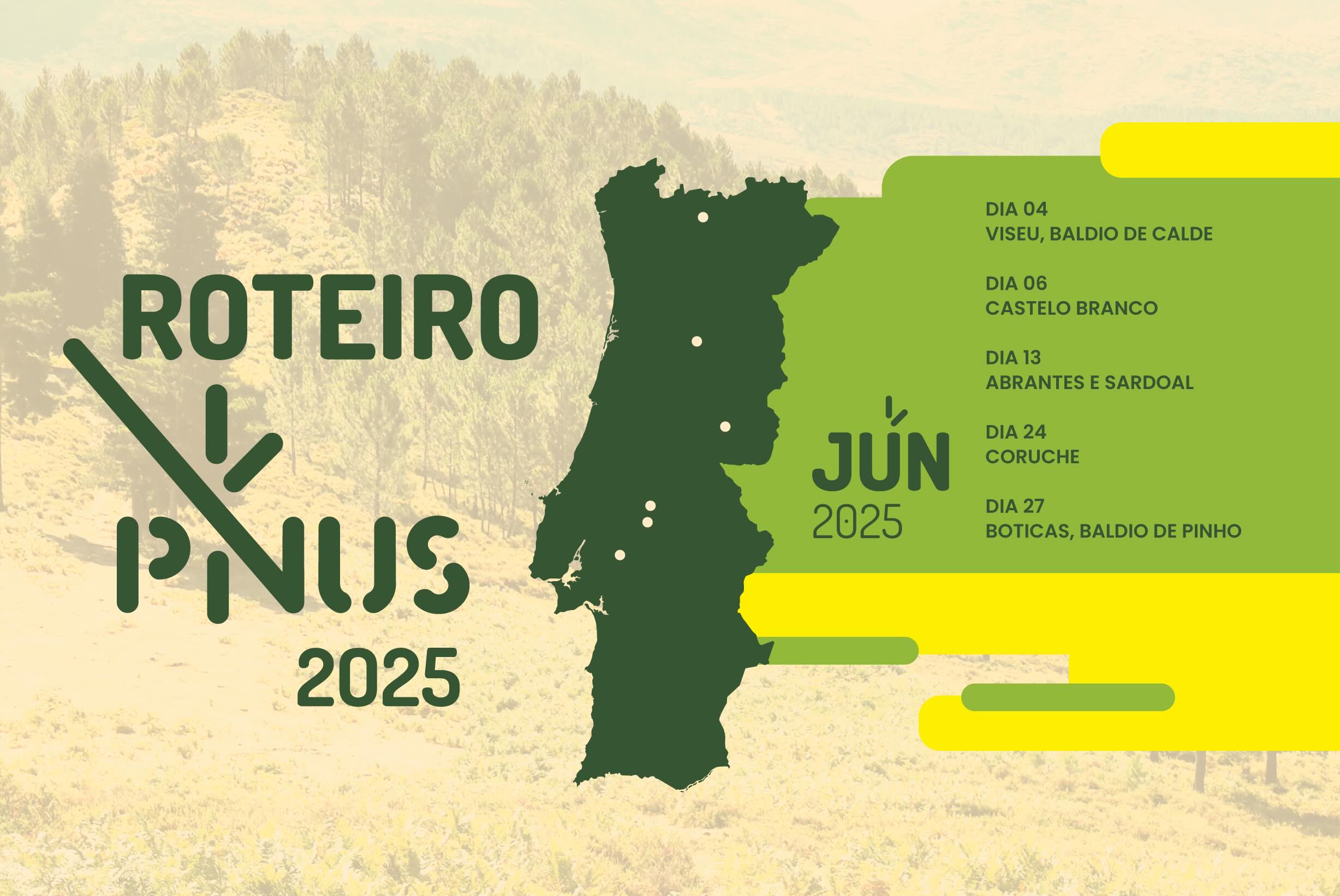 RoteiroPINUS2025 2