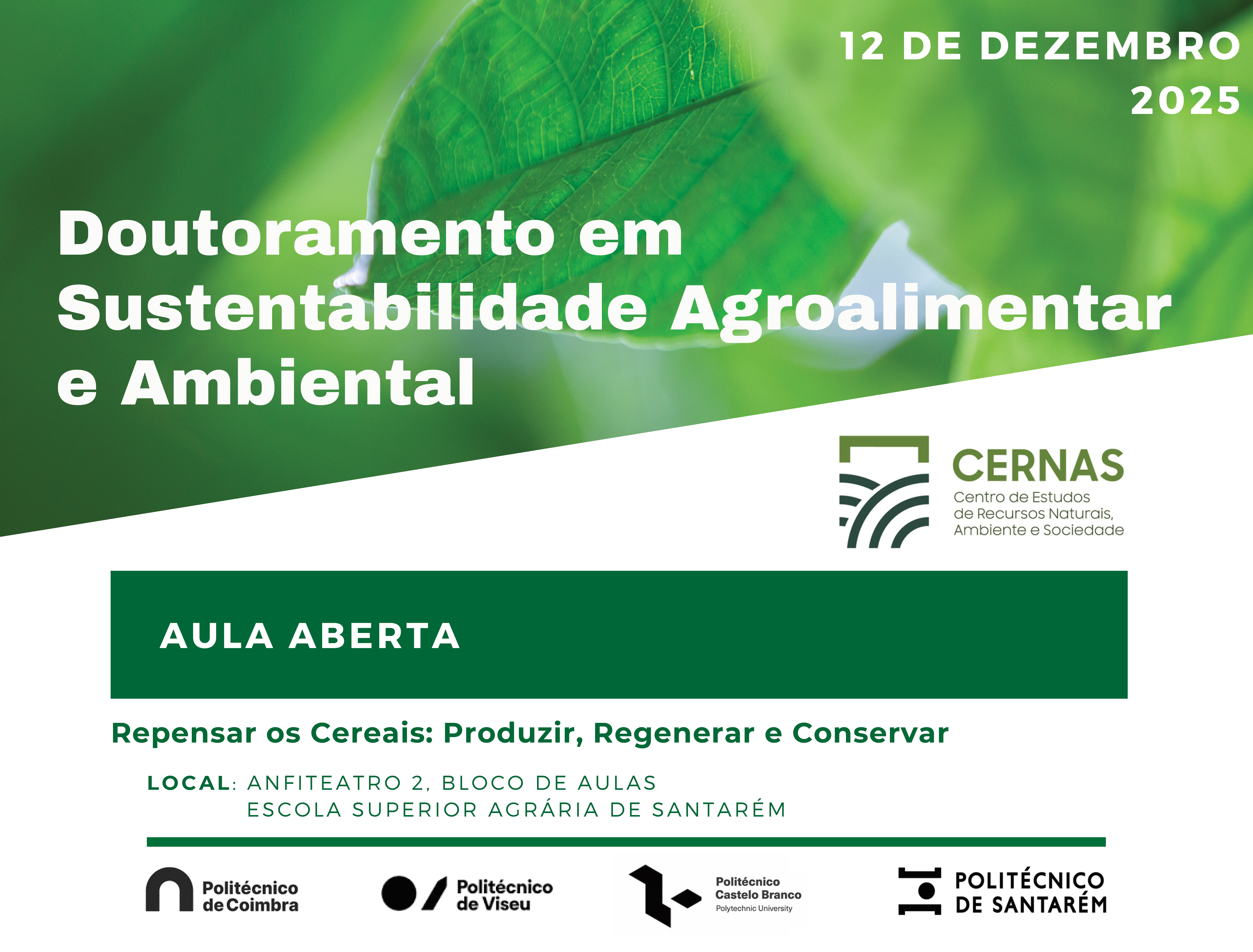 Seminário Santarem 12dez25 1