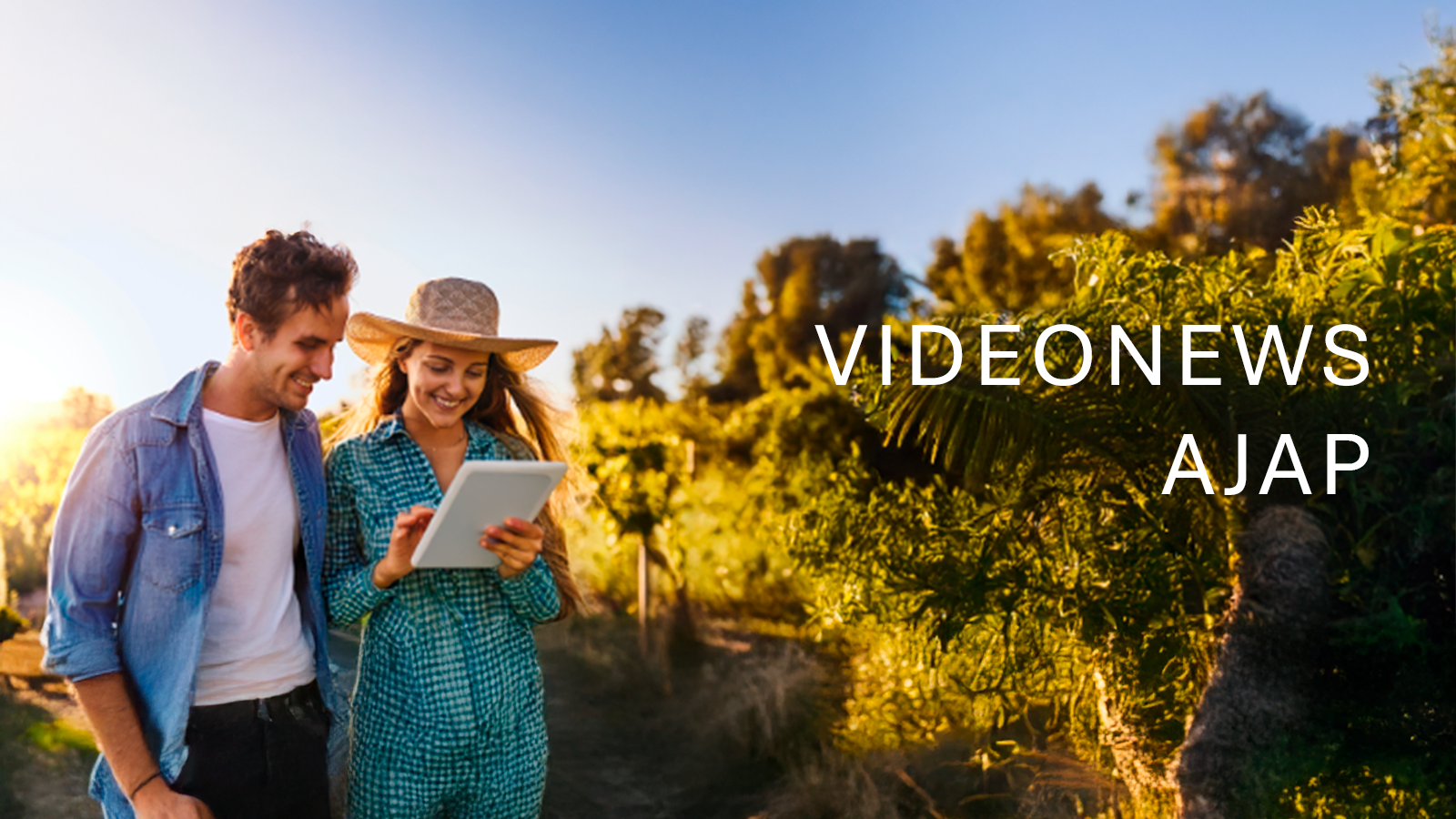 Videonews ajap feb