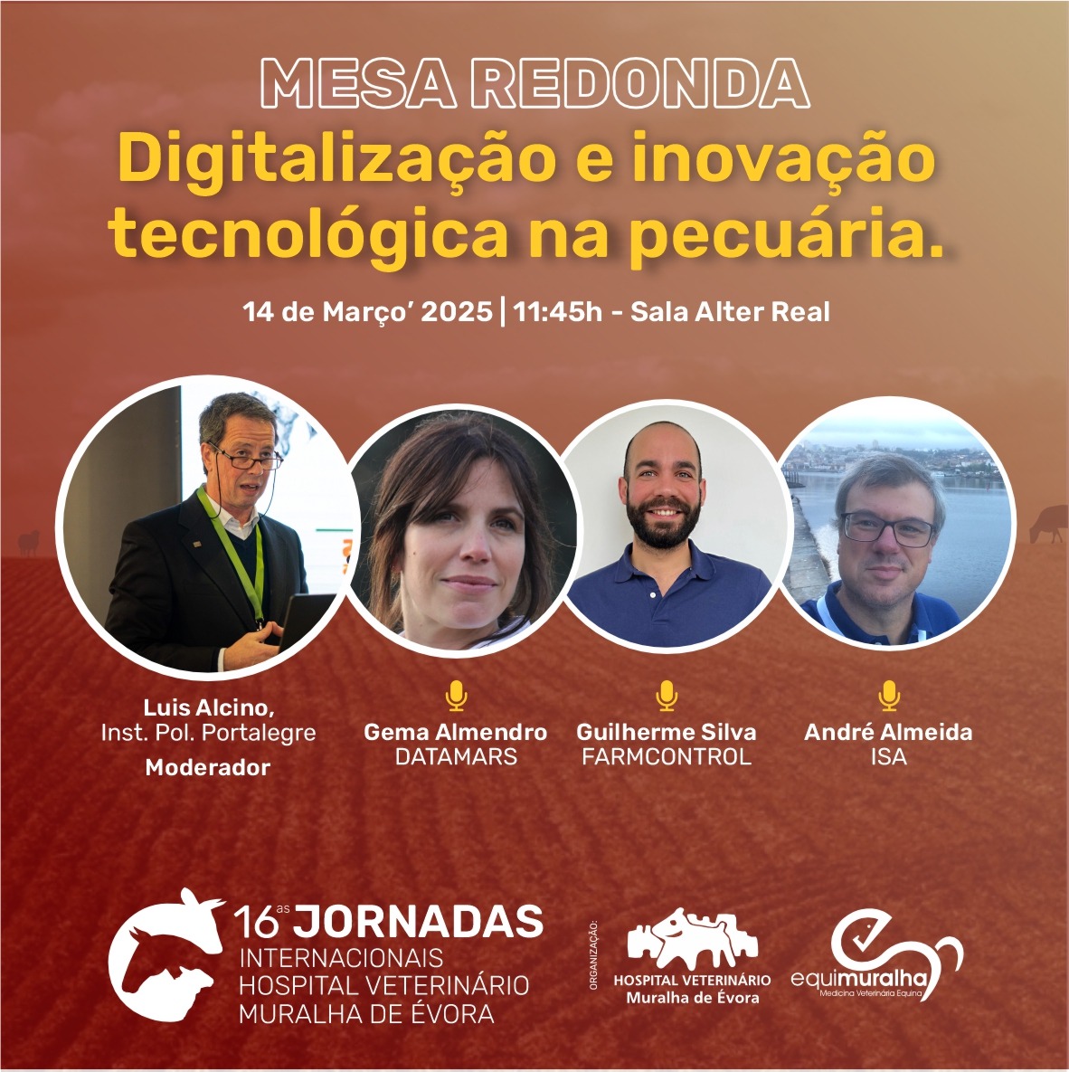 mesa redonda vet muralha