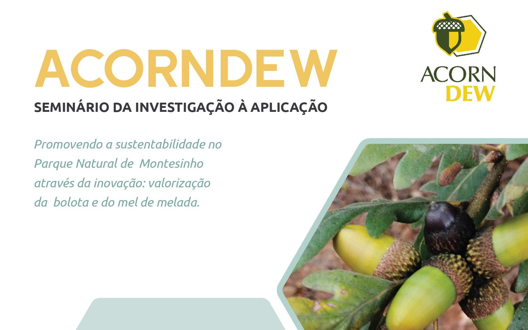 accordnwe