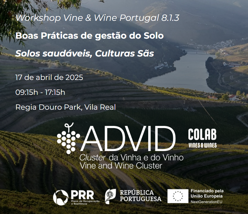 advid workshop