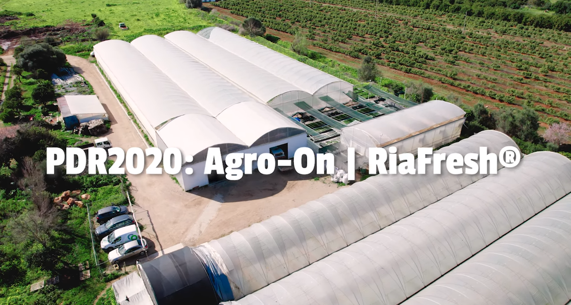 agr algarve halofitas