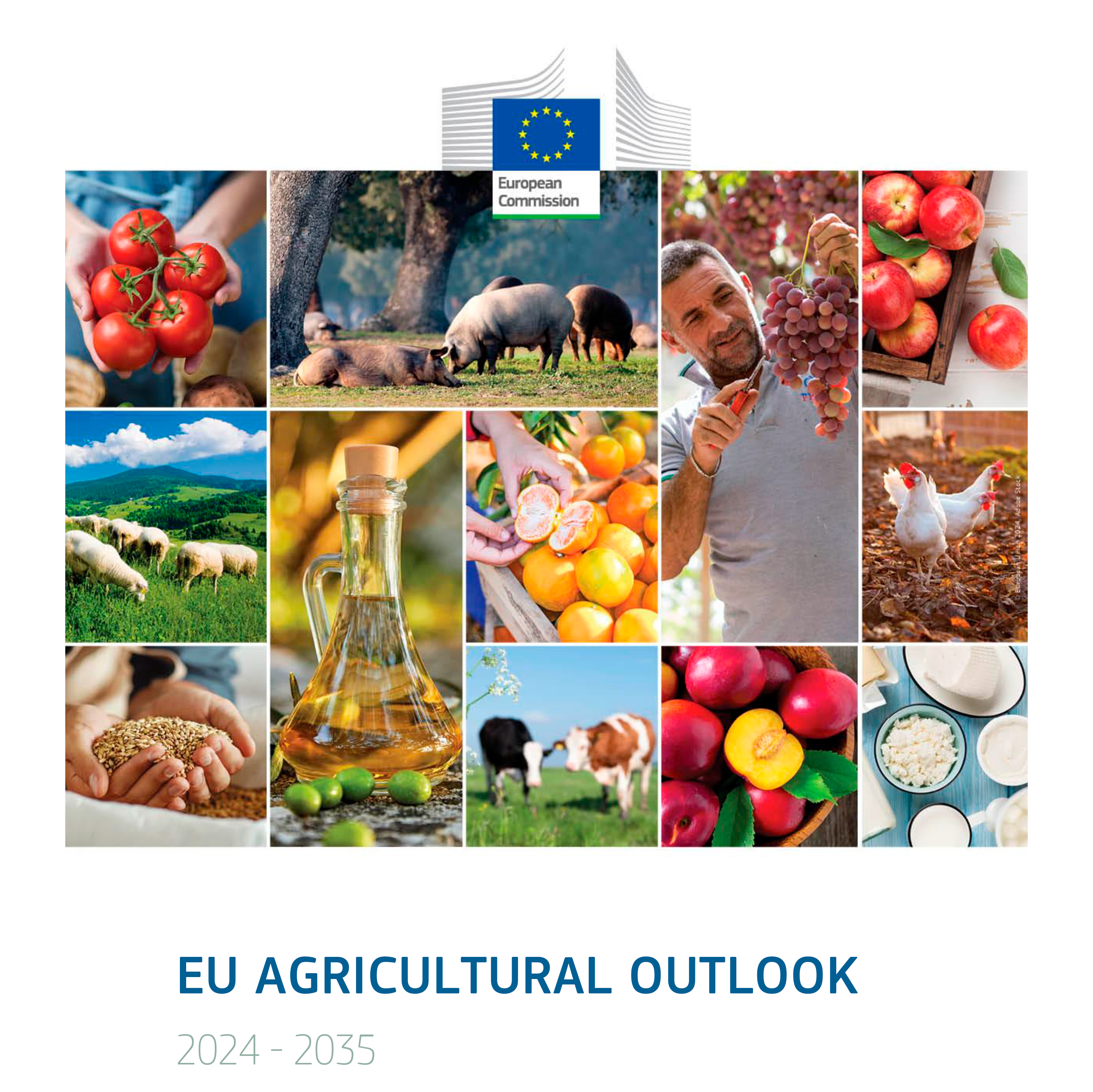 agricultural outlook 2024 report en 1