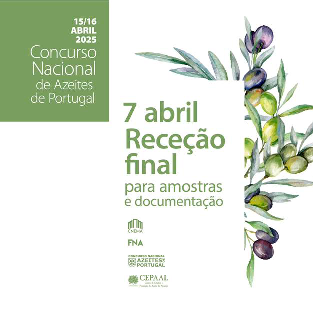 azeites concurso2