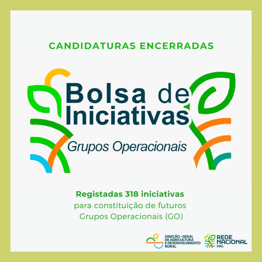 Bolsa de Iniciativas para futuros GO regista inscrição de 318 iniciativas