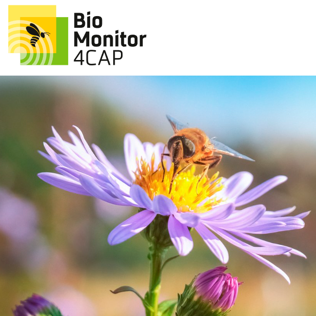 bio4cap