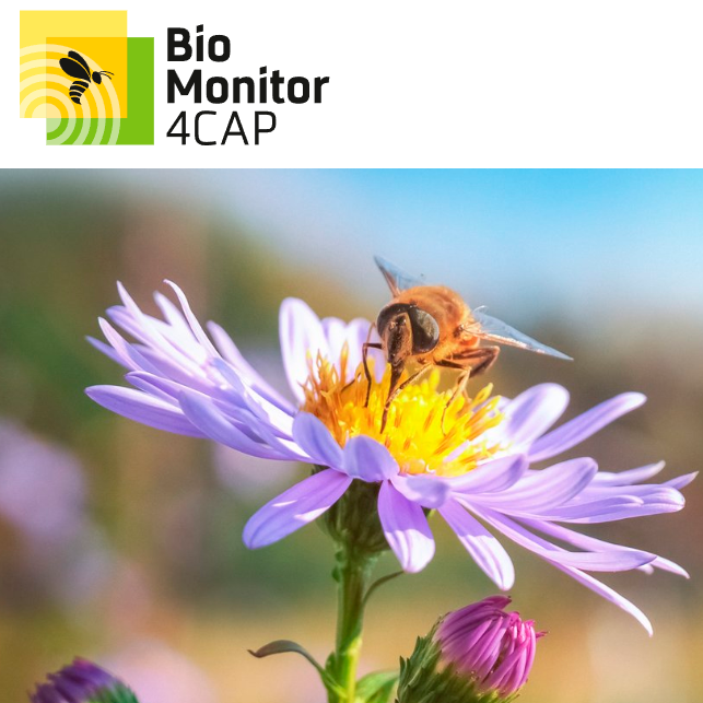 bioncap