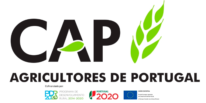 cap logo