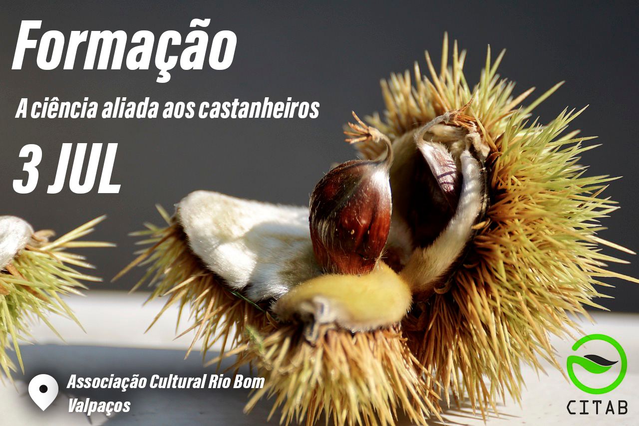castanheiros