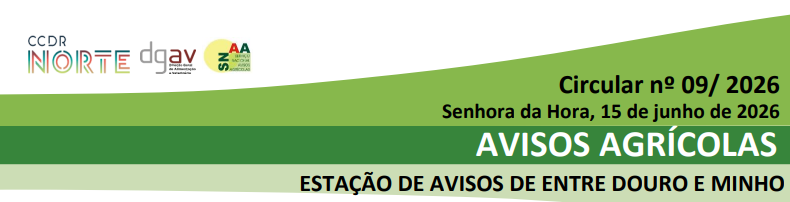 circular 9 E2rios