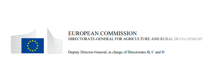 comissão europeia esclarecimento