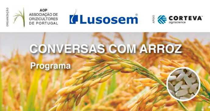 converas com arroz