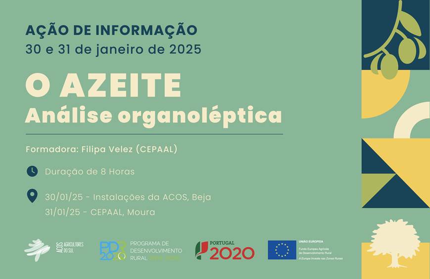 curso_axeite