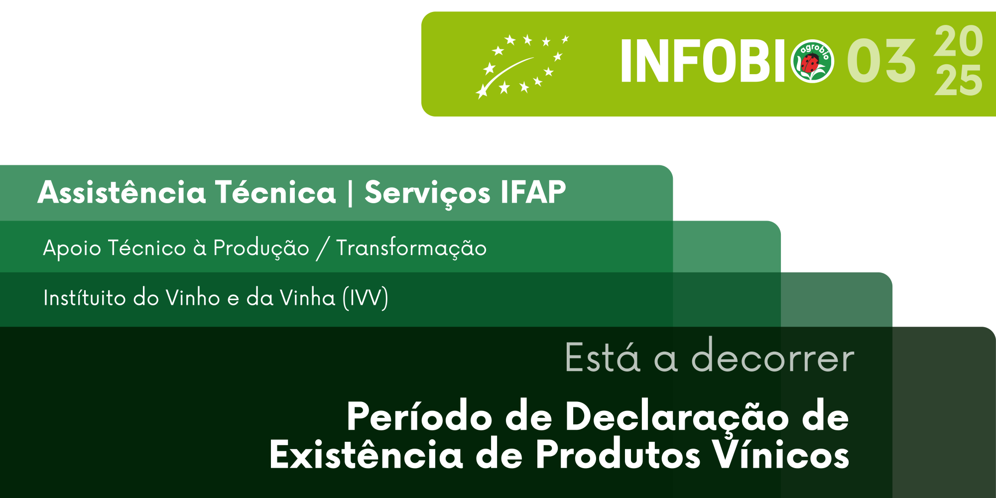 declarção de existencias