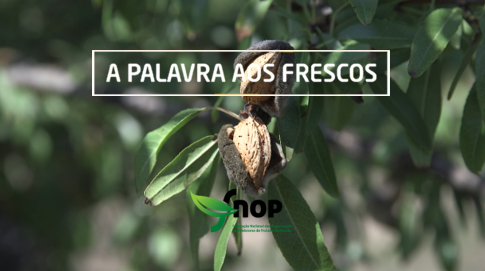 descarregar 2