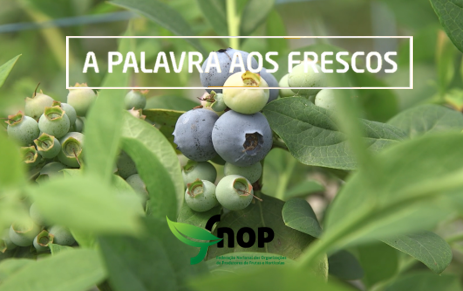 descarregar 6