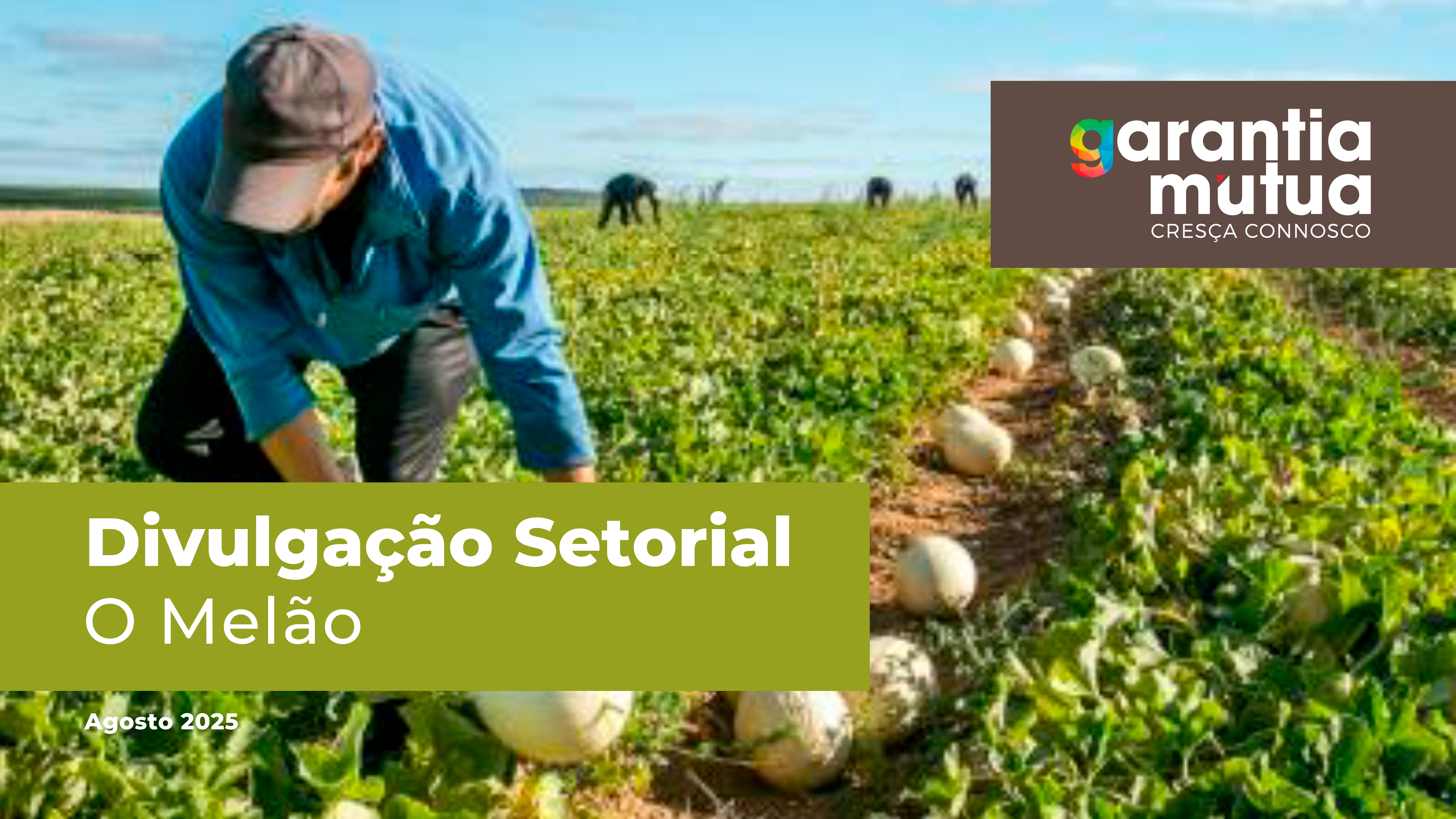 divulgacaosetorial melao 326164759689612bb1d097 1