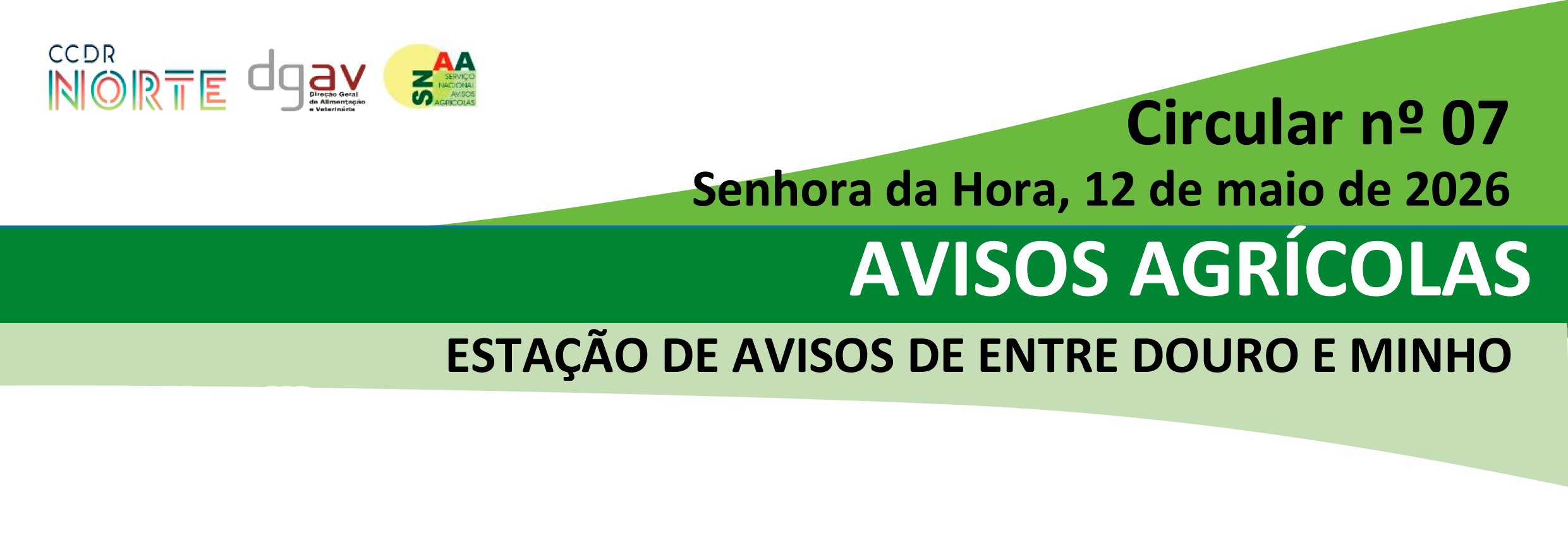 dourominho 07 2026