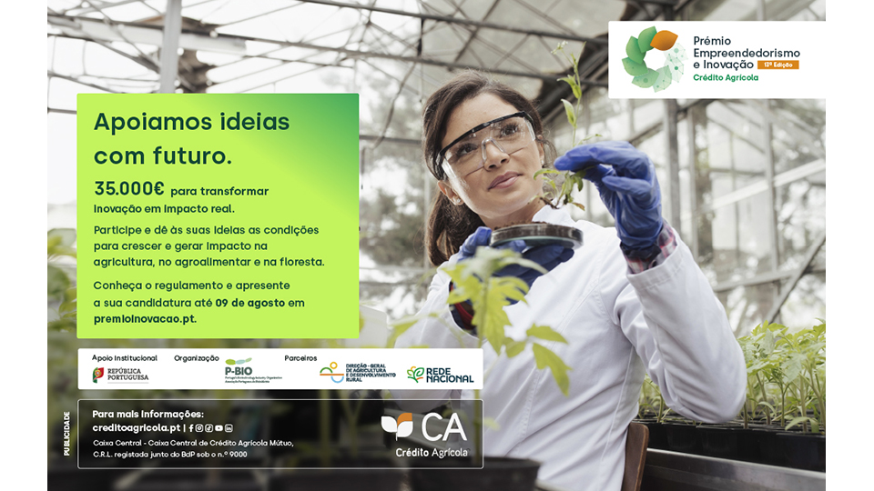 edição Prémio Empreendedorismo e Inovação