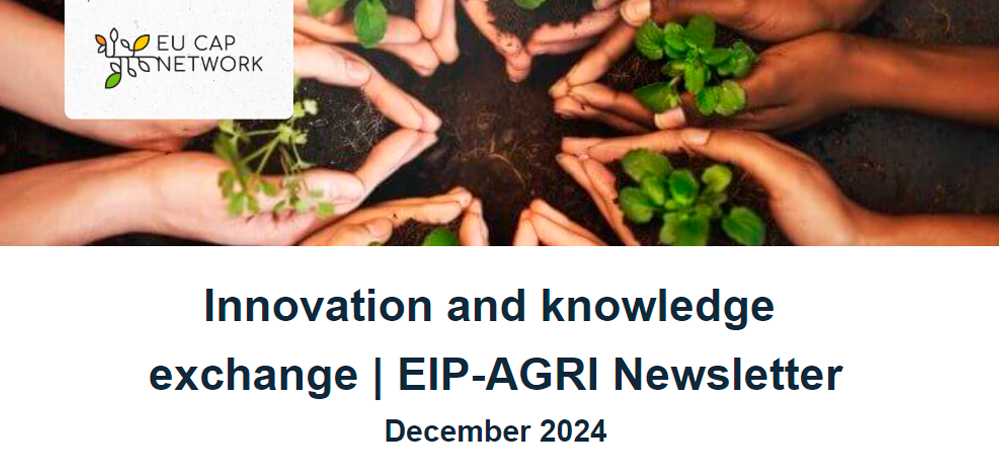 eip dec24