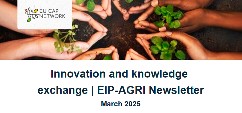 eip mar25