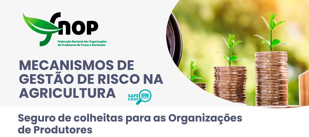 fnop webinar