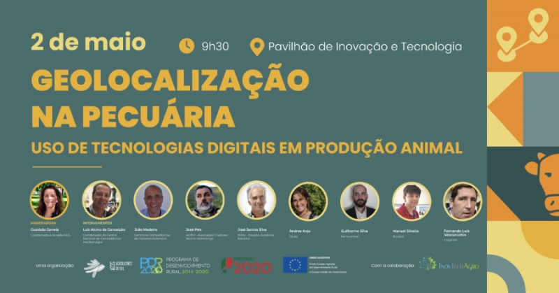 geolocalização_ovibeja