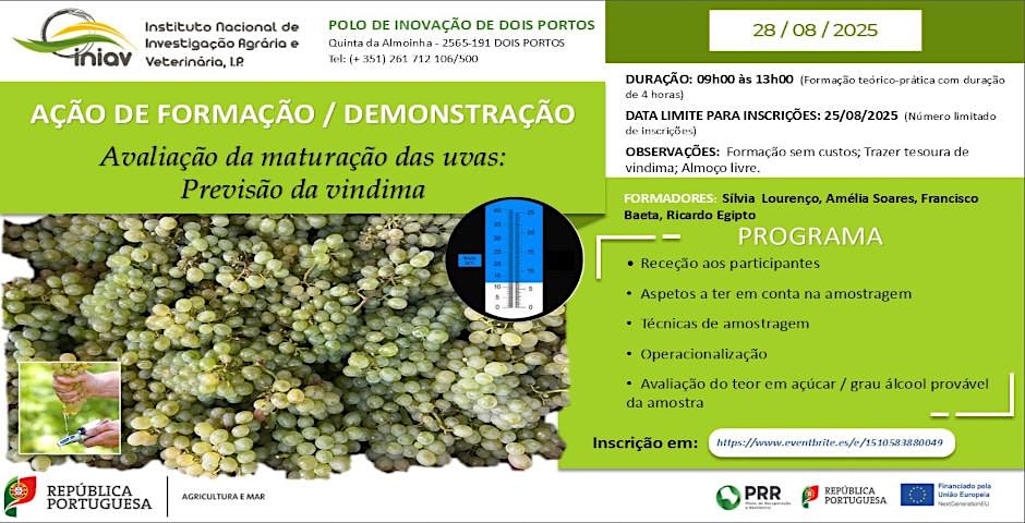 https cdn.evbuc.com images 1077935583 1449559390063 1 original