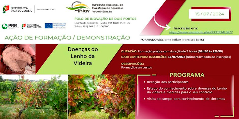 https___cdn.evbuc.com_images_795936769_1449559390063_1_original
