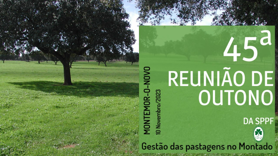 09_15_Cartaz_45ª_RO_-_Agende_a_data