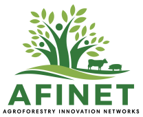 AFINET_logo_branco