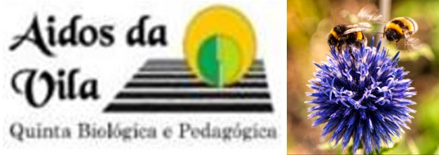 aidos_vila