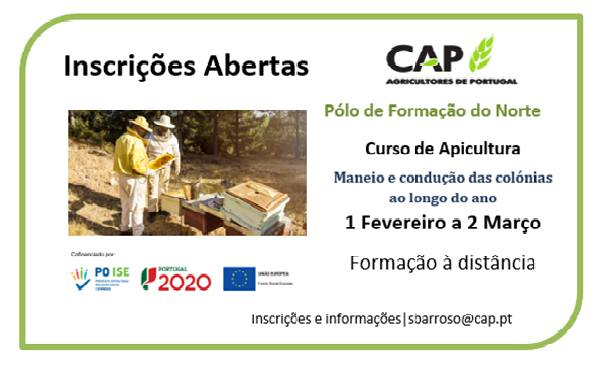 Apicultura