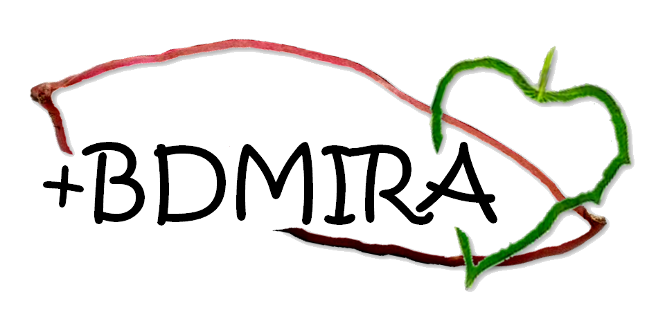 BDMIRA_logo_1