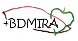 bdmira