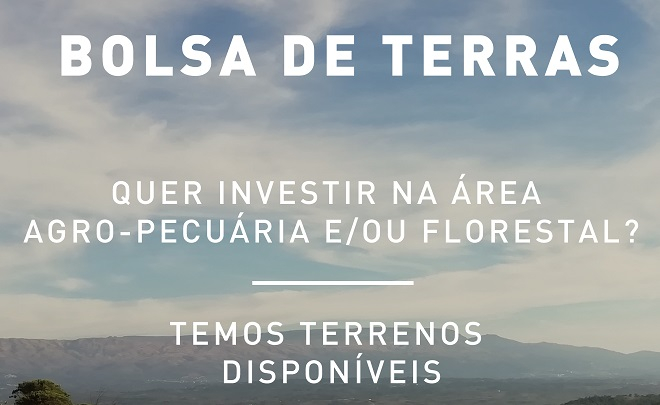 BolsadeTerras1