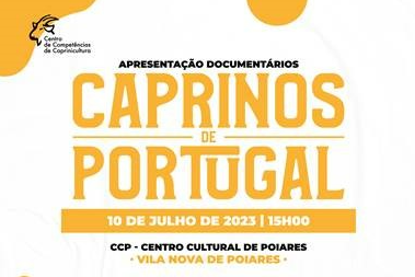 Capturar1