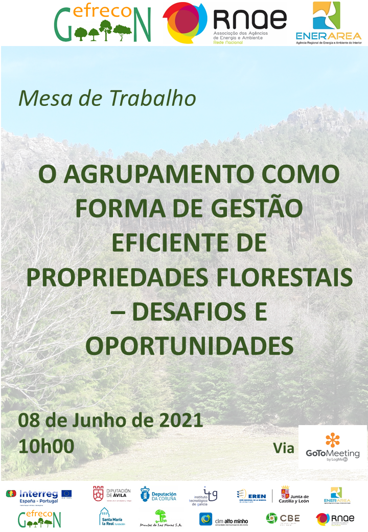 Cartaz_GEFRECON