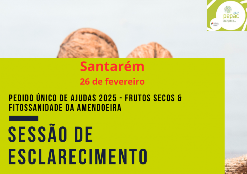 Cartaz_sessão_PEPAC_site