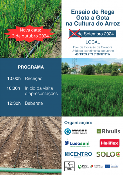 Coimbra_arroz_3_de_outubro_2024