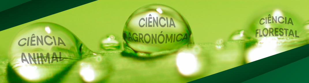 convenção