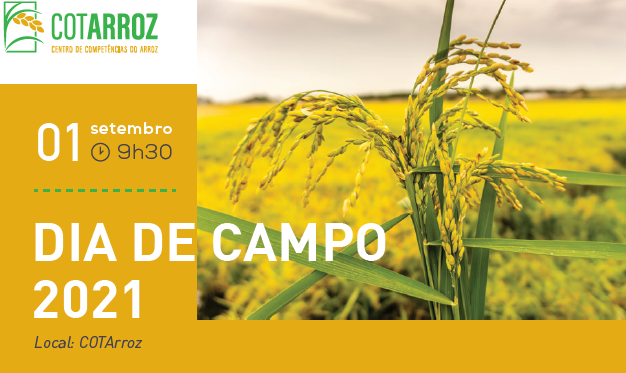 Cotarroz_DiaCampo