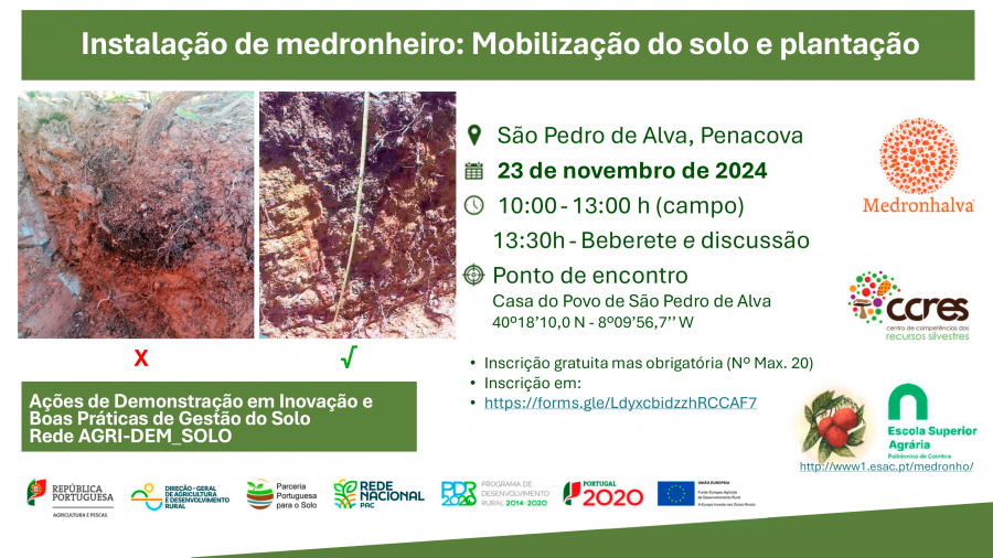 Divulgação_Ação_Demonstração_2_Instalação-Medronhalva