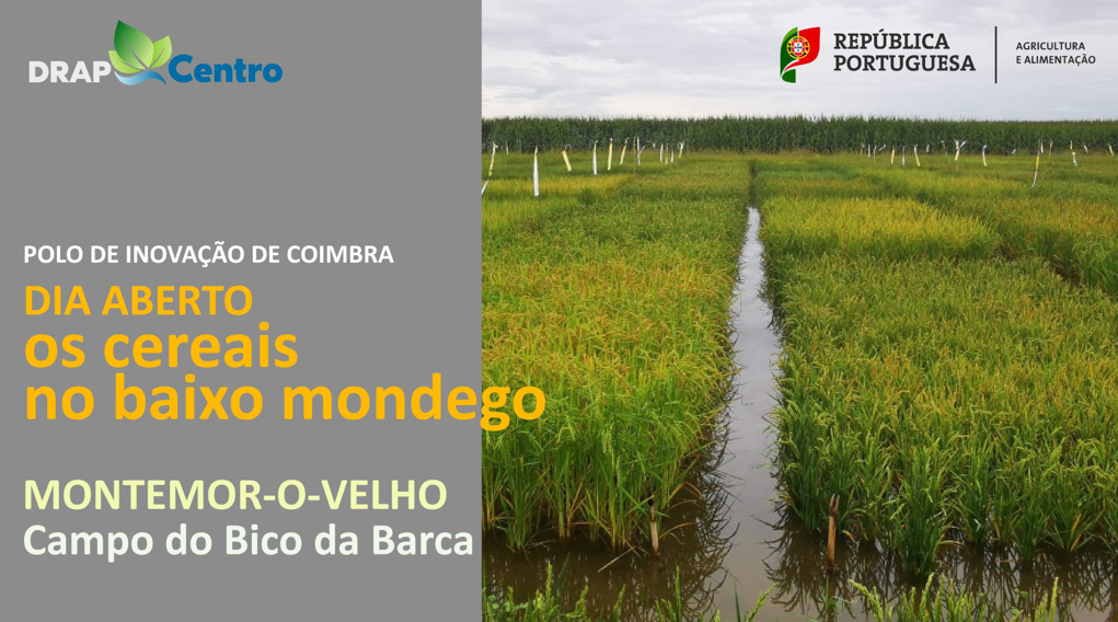 drapc_diaaberto_cereais