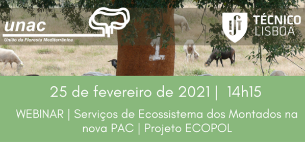 ECOPOL_Webinar